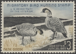 Picture of RW31 1964 Duck Stamp  MNH XF 90