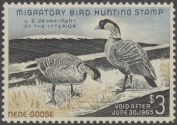 Picture of RW31 1964 Duck Stamp  MNH XF 90