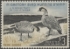 Picture of RW31 1964 Duck Stamp  MNH XF 90