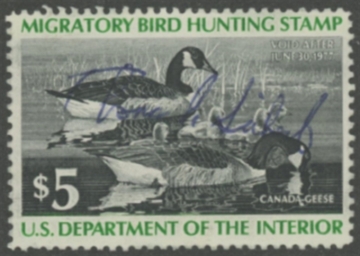 Picture of RW43 1976 Duck Stamp  Used F-VF