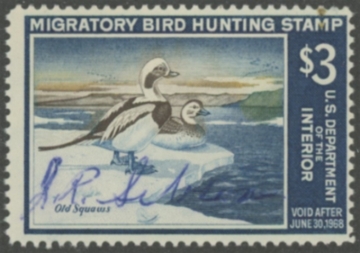 Picture of RW34 1967 Duck Stamp  Used F-VF
