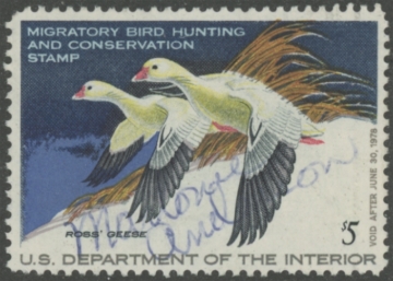 Picture of RW44 1977 Duck Stamp  Used F-VF