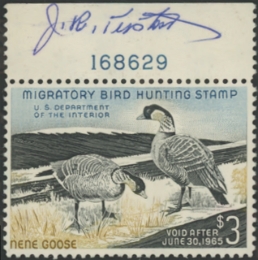 Picture of RW31 1964 Duck Stamp  Unsigned F-VF