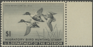 Picture of RW12 1945 Duck Stamp  MNH F-VF