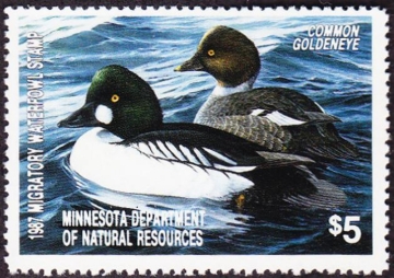 Picture of 1987 Minnesota Duck Stamp MNH F-VF