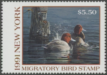 Picture of 1991 New York Duck Stamp MNH VF