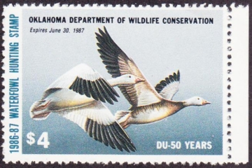 Picture of 1986 Oklahoma Duck Stamp MNH VF