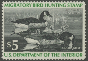 Picture of RW43 1976 Duck Stamp  Unsigned F-VF