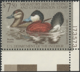 Picture of RW48 1981 Duck Stamp  MNH F-VF