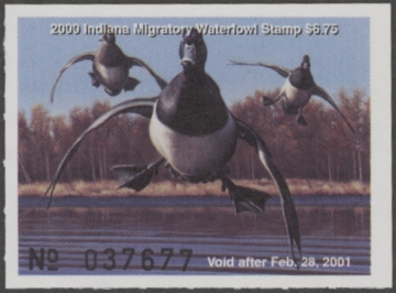 Picture of 2000 Indiana Duck Stamp MNH VF
