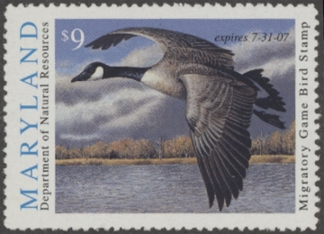 Picture of 2006 Maryland Duck Stamp MNH VF