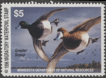 Picture of 1996 Minnesota Duck Stamp MNH VF