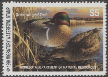 Picture of 1999 Minnesota Duck Stamp MNH VF