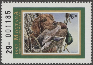 Picture of 1997 Montana Duck Stamp MNH VF