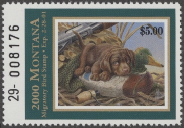 Picture of 2000 Montana Duck Stamp MNH VF