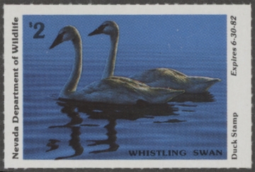 Picture of 1981 Nevada Duck Stamp MNH VF