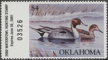 Picture of 2000 Oklahoma Duck Stamp MNH VF