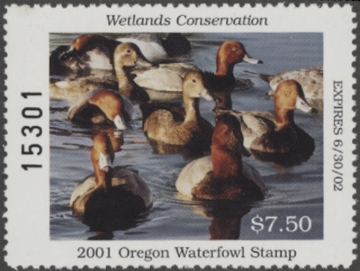 Picture of 2001 Oregon Duck Stamp MNH VF