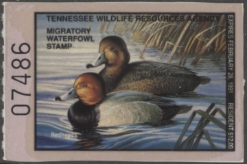 Picture of 1990 Tennessee Duck Stamp MNH VF