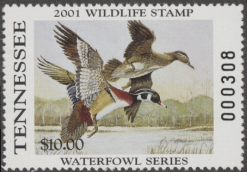 Picture of 2001 Tennessee Duck Stamp MNH VF