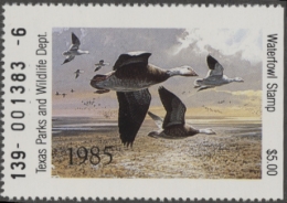 Picture of 1985 Texas Duck Stamp MNH VF