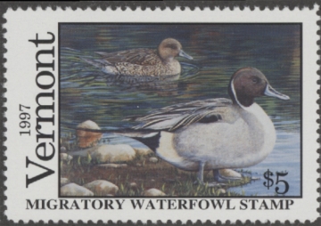 Picture of 1997 Vermont Duck Stamp MNH VF