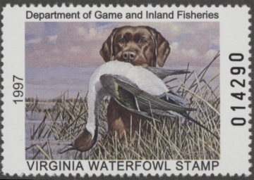 Picture of 1997 Virginia Duck Stamp MNH VF