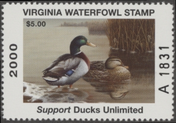 Picture of 2000 Virginia Duck Stamp MNH VF