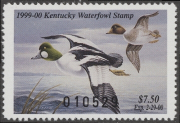 Picture of 1999 Kentucky Duck Stamp MNH VF