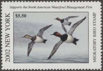 Picture of 2002 New York Duck Stamp MNH VF