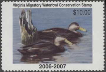 Picture of 2006 Virginia Duck Stamp MNH VF