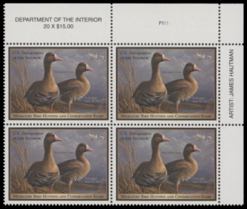 Picture of RW78 2011 Duck Stamp  MNH F-VF
