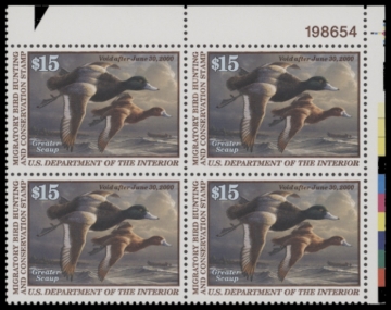 Picture of RW66 1999 Duck Stamp  MNH F-VF