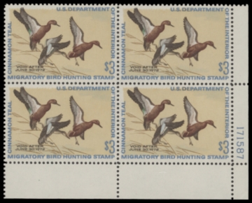 Picture of RW38 1971 Duck Stamp  MNH F-VF