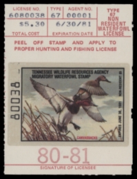 Picture of 1980 Tennessee Duck Stamp MNH VF