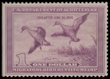 Picture of RW5 1938 Duck Stamp  Unsigned F-VF