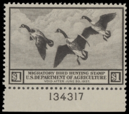 Picture of RW3 1936 Duck Stamp  MNH F-VF