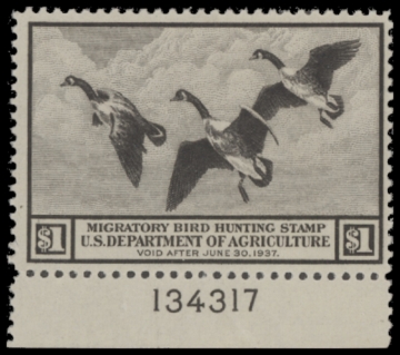 Picture of RW3 1936 Duck Stamp  MNH F-VF