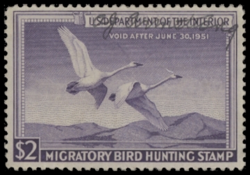 Picture of RW17 1950 Duck Stamp  Used F-VF