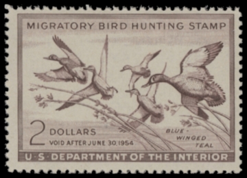 Picture of RW20 1953 Duck Stamp  MNH F-VF