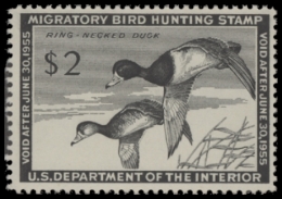 Picture of RW21 1954 Duck Stamp  MNH F-VF