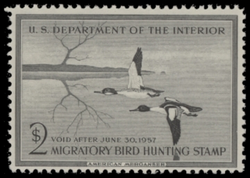 Picture of RW23 1956 Duck Stamp  MNH F-VF