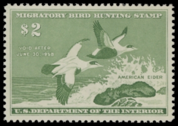 Picture of RW24 1957 Duck Stamp  MNH F-VF