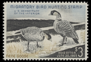 Picture of RW31 1964 Duck Stamp  MNH F-VF