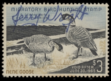 Picture of RW31 1964 Duck Stamp  Used F-VF