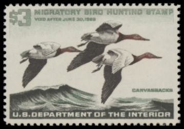 Picture of RW32 1965 Duck Stamp  MNH F-VF