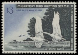 Picture of RW33 1966 Duck Stamp  MLH F-VF