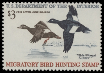Picture of RW36 1969 Duck Stamp  MNH F-VF