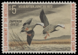 Picture of RW39 1972 Duck Stamp  MNH F-VF