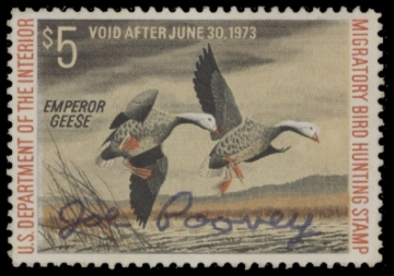 Picture of RW39 1972 Duck Stamp  Used F-VF
